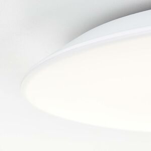 LED svetlo Colden do kúpeľne biela stmieva Ø 29 cm