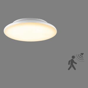 EVN Catino stropné LED svietidlo, snímač, 25 cm
