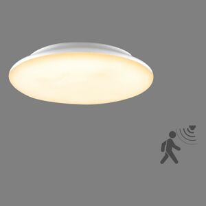 EVN Catino stropné LED svietidlo, snímač, 30 cm
