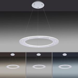 Paul Neuhaus Pure-Cosmo závesné LED svetlo Ø 55 cm
